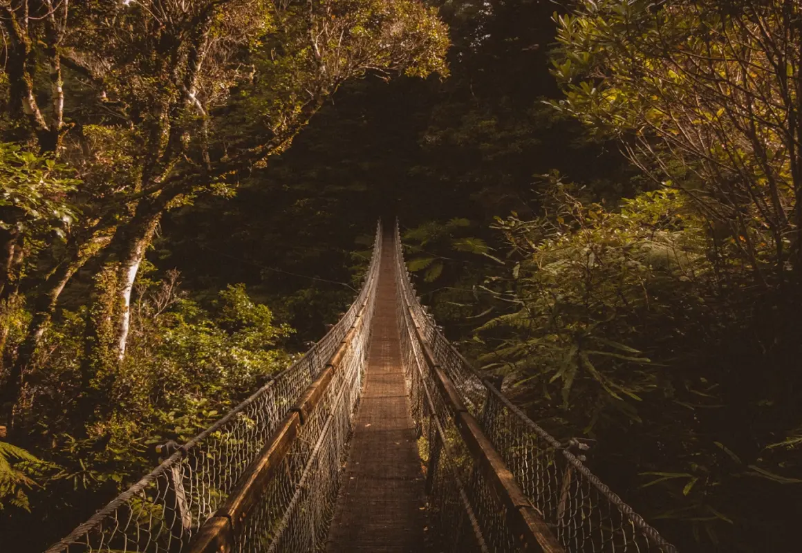 Wood and cable swing bridge extending through dense forest canopy